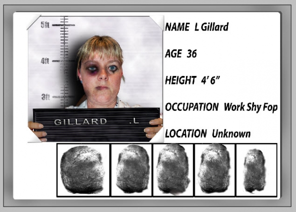 Creation of Arrest ID: Step 19